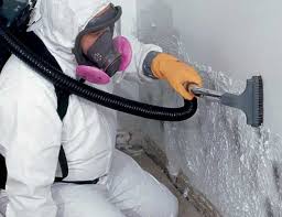 Mold Inspection